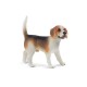 Bullyland Henry psík Beagle figúrka